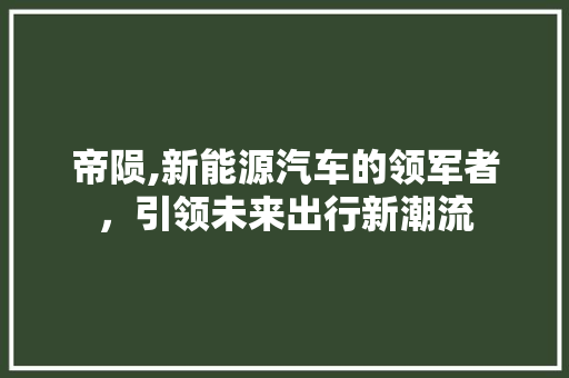 帝陨,新能源汽车的领军者，引领未来出行新潮流