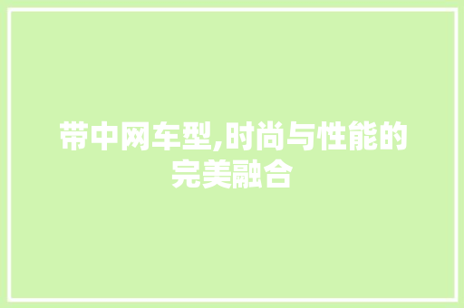带中网车型,时尚与性能的完美融合