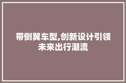 带侧翼车型,创新设计引领未来出行潮流