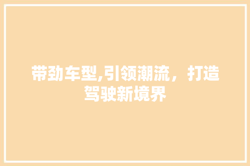 带劲车型,引领潮流，打造驾驶新境界