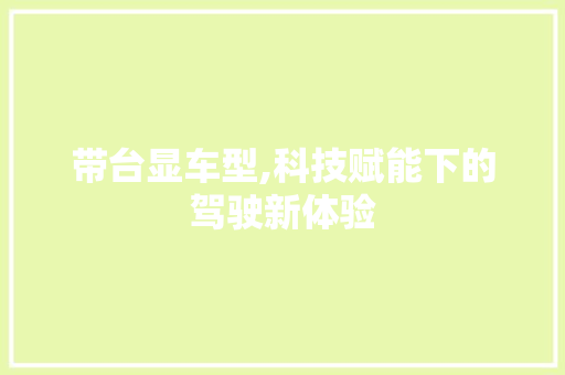 带台显车型,科技赋能下的驾驶新体验