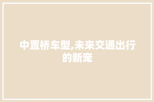 中置桥车型,未来交通出行的新宠
