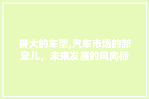 带大的车型,汽车市场的新宠儿，未来发展的风向标