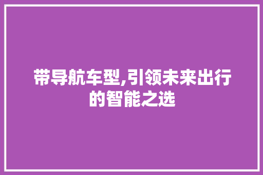 带导航车型,引领未来出行的智能之选