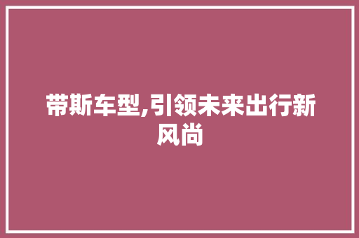 带斯车型,引领未来出行新风尚