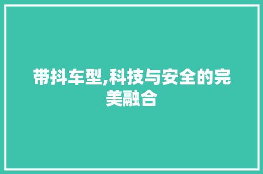 带抖车型,科技与安全的完美融合