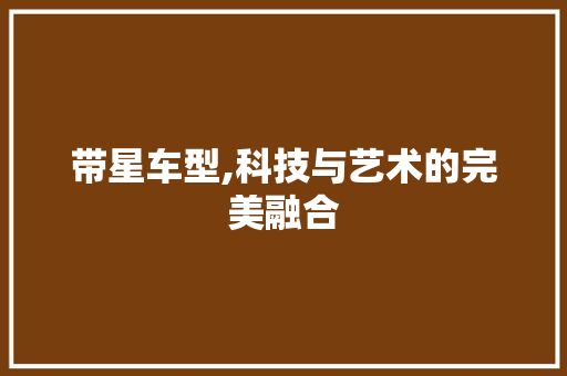 带星车型,科技与艺术的完美融合