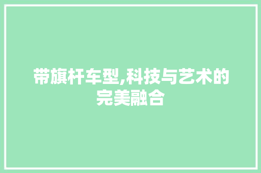 带旗杆车型,科技与艺术的完美融合