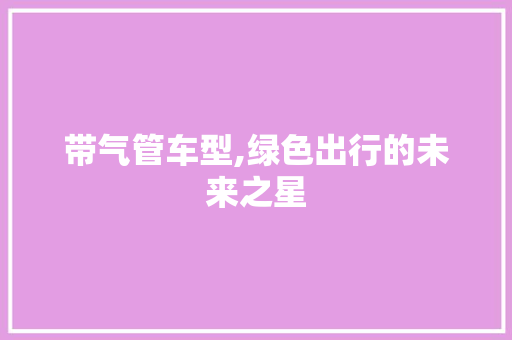 带气管车型,绿色出行的未来之星