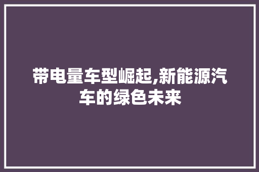 带电量车型崛起,新能源汽车的绿色未来