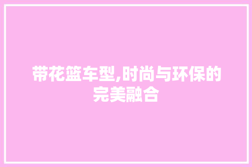 带花篮车型,时尚与环保的完美融合