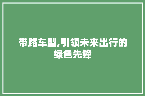 带路车型,引领未来出行的绿色先锋
