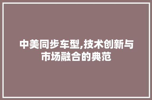 中美同步车型,技术创新与市场融合的典范
