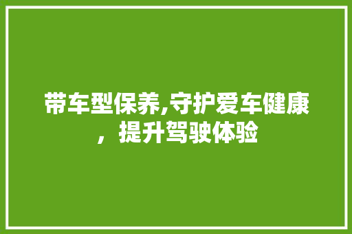带车型保养,守护爱车健康，提升驾驶体验