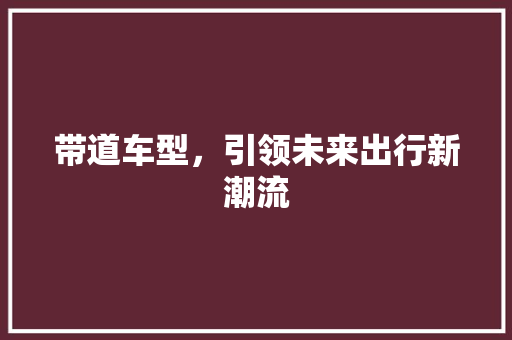 带道车型，引领未来出行新潮流