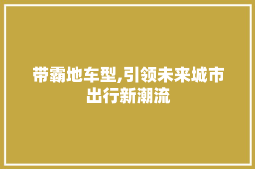 带霸地车型,引领未来城市出行新潮流