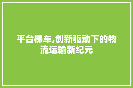 平台梯车,创新驱动下的物流运输新纪元
