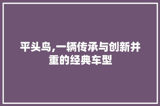 平头鸟,一辆传承与创新并重的经典车型