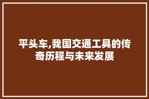 平头车,我国交通工具的传奇历程与未来发展