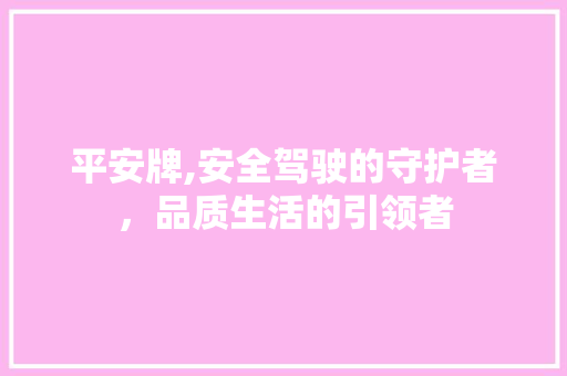 平安牌,安全驾驶的守护者，品质生活的引领者