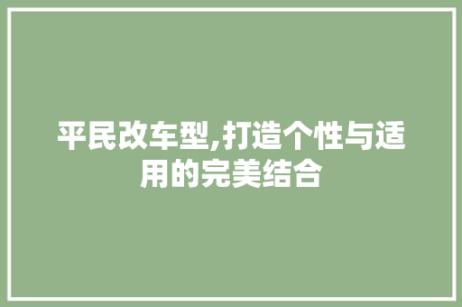 平民改车型,打造个性与适用的完美结合
