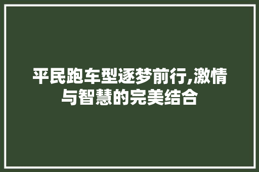 平民跑车型逐梦前行,激情与智慧的完美结合