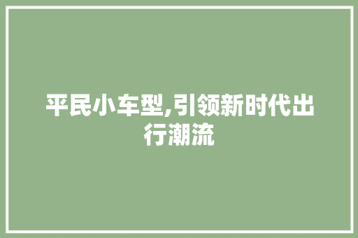 平民小车型,引领新时代出行潮流