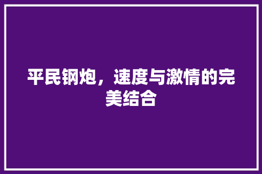 平民钢炮，速度与激情的完美结合