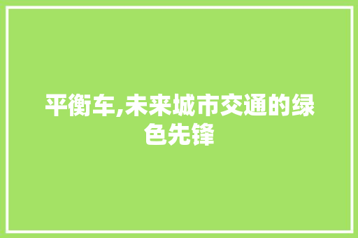 平衡车,未来城市交通的绿色先锋 新能源汽车