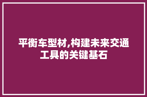 平衡车型材,构建未来交通工具的关键基石