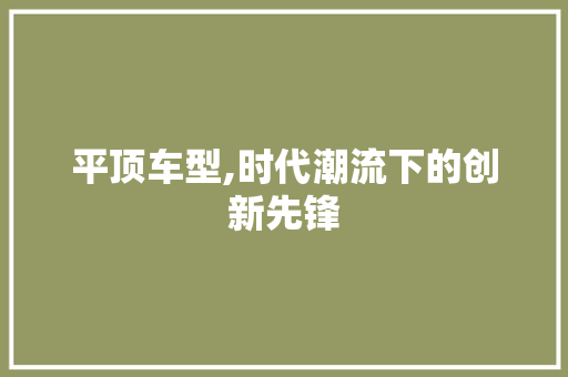 平顶车型,时代潮流下的创新先锋