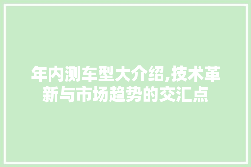 年内测车型大介绍,技术革新与市场趋势的交汇点