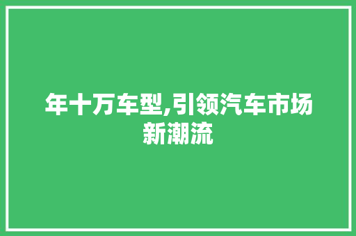 年十万车型,引领汽车市场新潮流