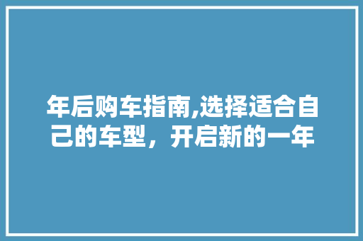 年后购车指南,选择适合自己的车型，开启新的一年