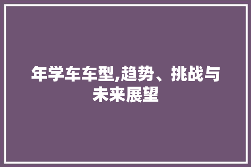 年学车车型,趋势、挑战与未来展望