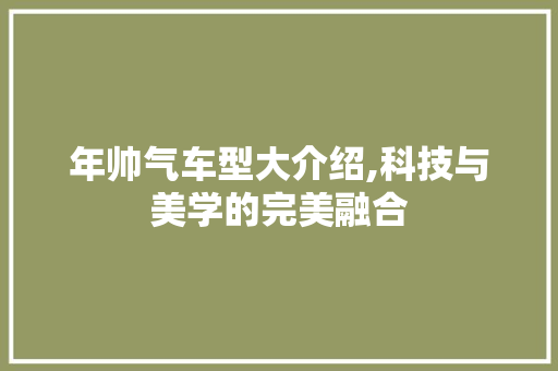 年帅气车型大介绍,科技与美学的完美融合