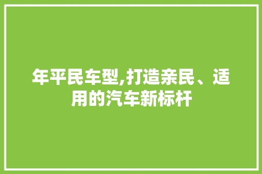 年平民车型,打造亲民、适用的汽车新标杆