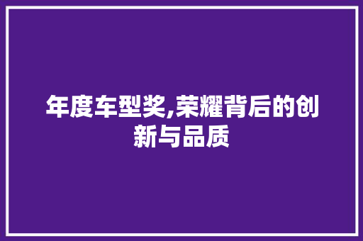 年度车型奖,荣耀背后的创新与品质