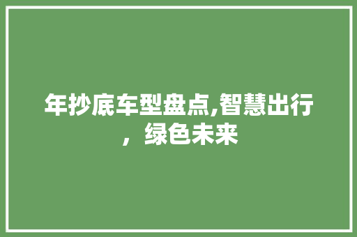 年抄底车型盘点,智慧出行，绿色未来
