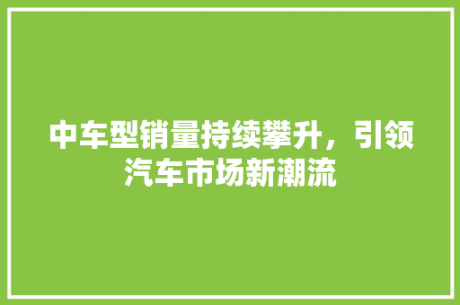 中车型销量持续攀升，引领汽车市场新潮流 新款车型