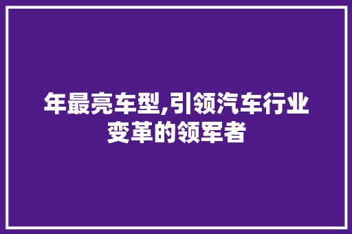 年最亮车型,引领汽车行业变革的领军者