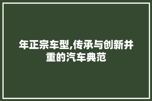 年正宗车型,传承与创新并重的汽车典范