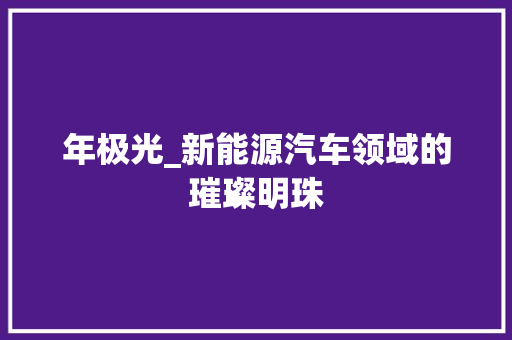 年极光_新能源汽车领域的璀璨明珠