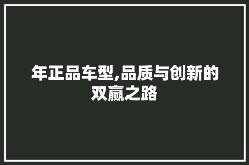 年正品车型,品质与创新的双赢之路
