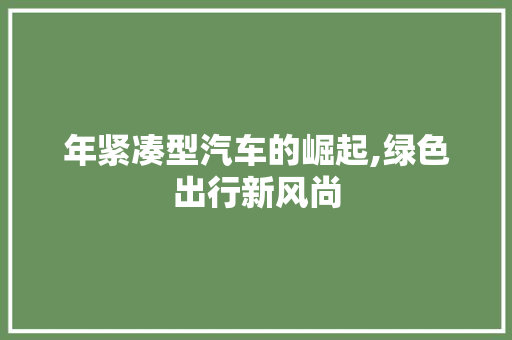 年紧凑型汽车的崛起,绿色出行新风尚