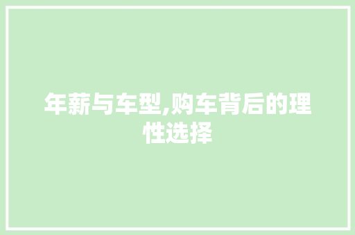 年薪与车型,购车背后的理性选择