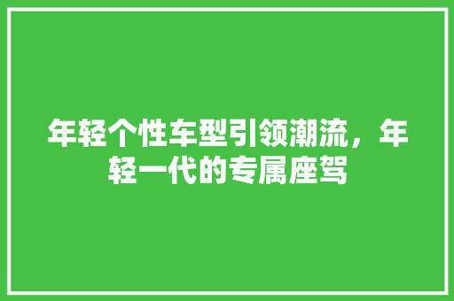 年轻个性车型引领潮流，年轻一代的专属座驾