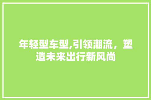 年轻型车型,引领潮流，塑造未来出行新风尚