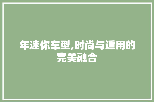 年迷你车型,时尚与适用的完美融合