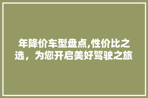 年降价车型盘点,性价比之选，为您开启美好驾驶之旅